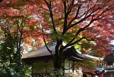 高尾山薬王院(東京都)