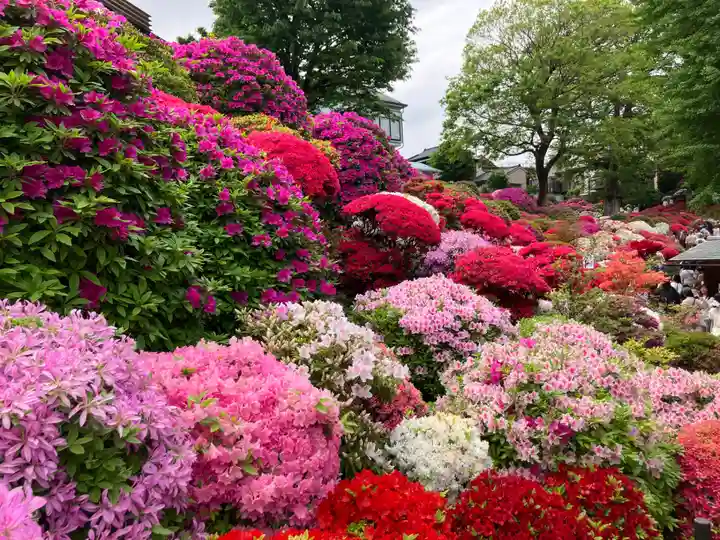 根津神社(東京都)
