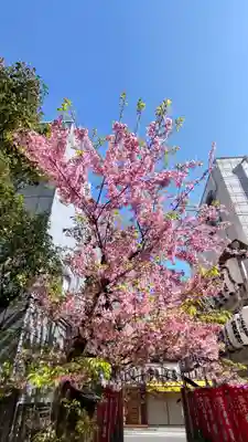 正寶院(飛不動尊)(東京都)