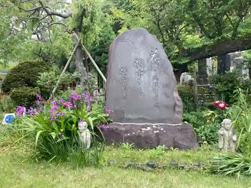 蓮台寺(神奈川県)