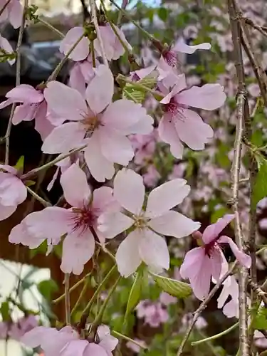 頂法寺（六角堂）(京都府)