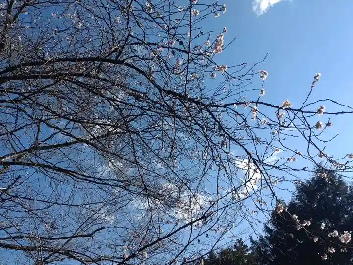 今市瀧尾神社の自然