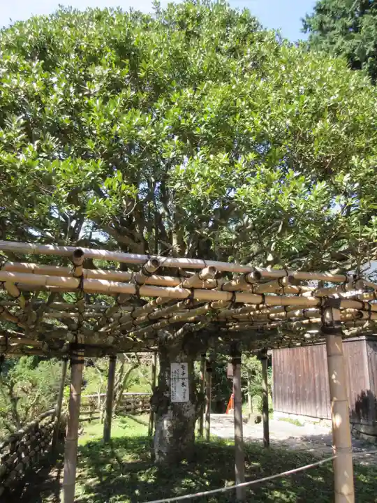 宝厳寺のその他建物