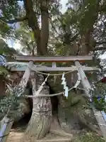 須賀神社(高知県)