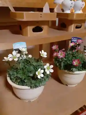 伏木香取神社(茨城県)