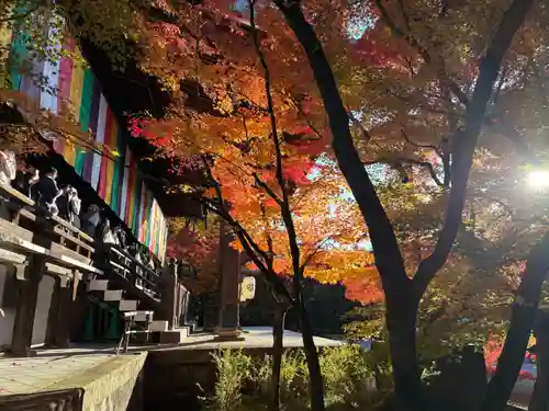 禅林寺（永観堂）(京都府)