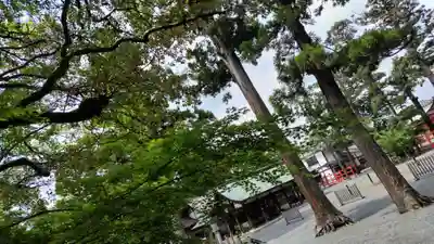 吉田神社(京都府)