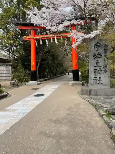 宇治上神社の鳥居