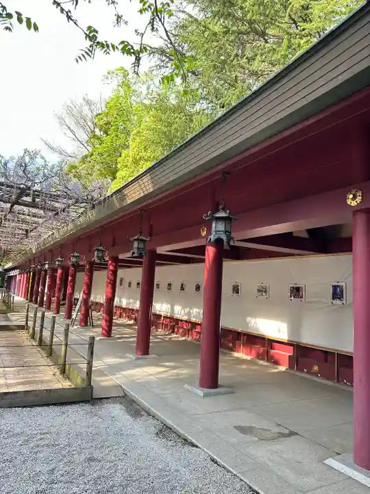 笠間稲荷神社(茨城県)