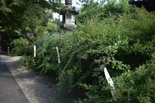 梨木神社のその他建物