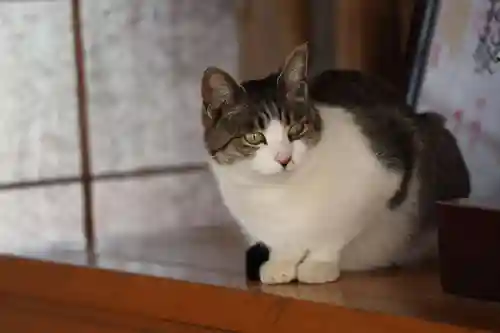 玉野御嶽神社(愛知県)
