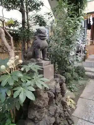 末廣神社の狛犬