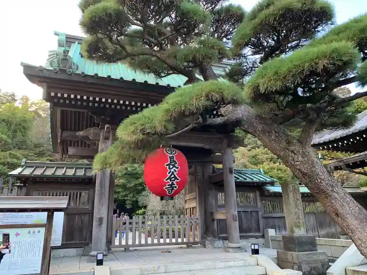 長谷寺の山門・神門