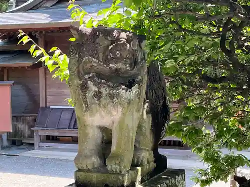 健軍神社の狛犬