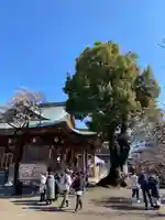 湯島天満宮のその他建物