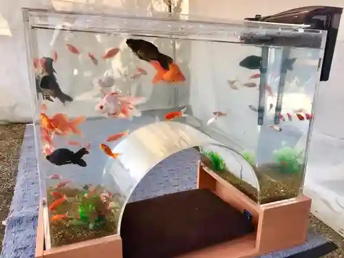 柳澤神社(奈良県)