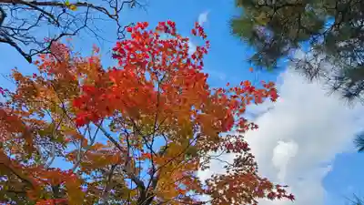 天龍寺(京都府)
