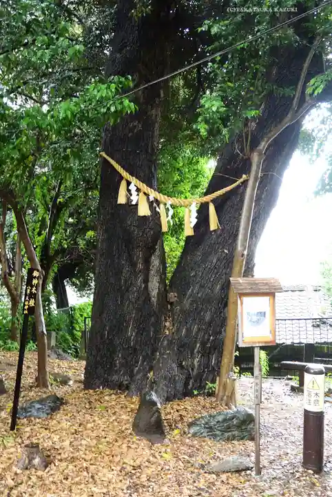 八景天祖神社(東京都)