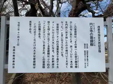 円立寺(千葉県)