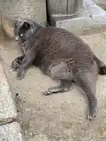 千光寺(広島県)