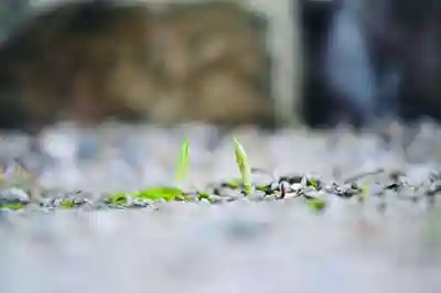 浄土寺(兵庫県)