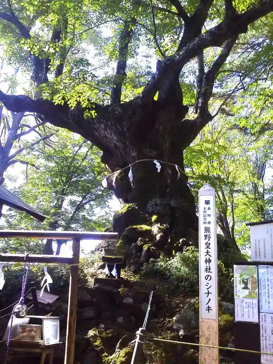 熊野皇大神社の自然
