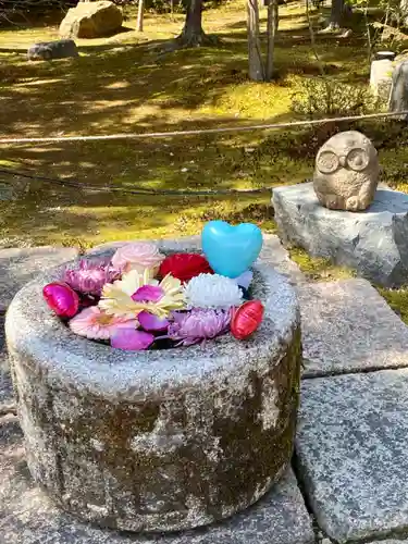 勝林寺(京都府)