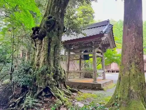 妙楽寺の建物その他