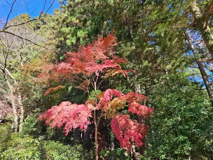 室生寺(奈良県)