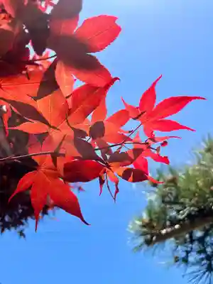 塩船観音寺(東京都)