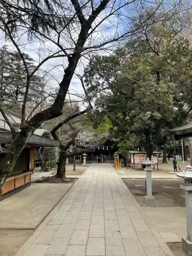 川口神社(埼玉県)