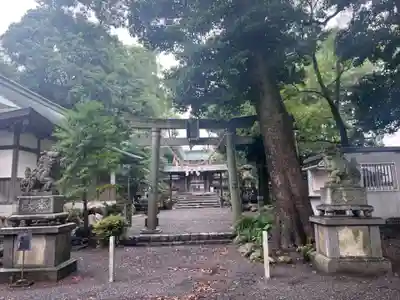 杉生神社(岐阜県)