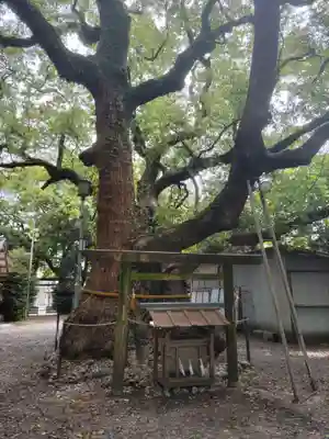 箕曲中松原神社(三重県)