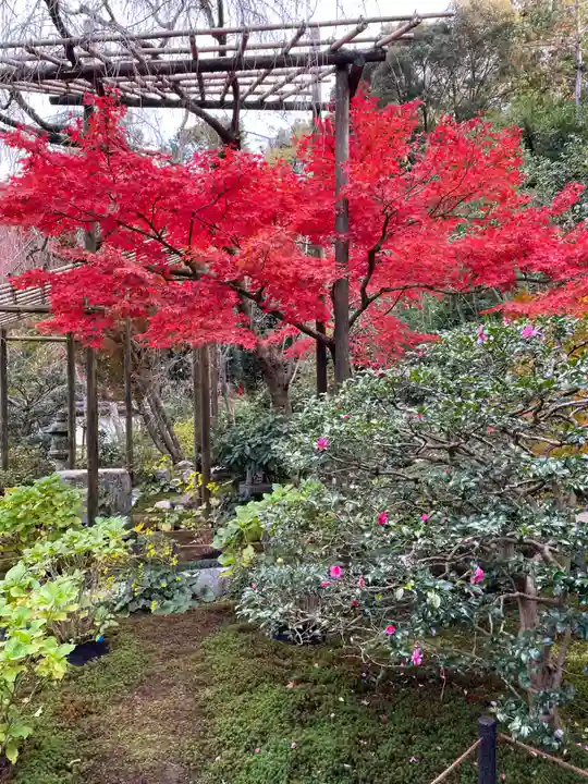 一條殿 新善光寺(京都府)