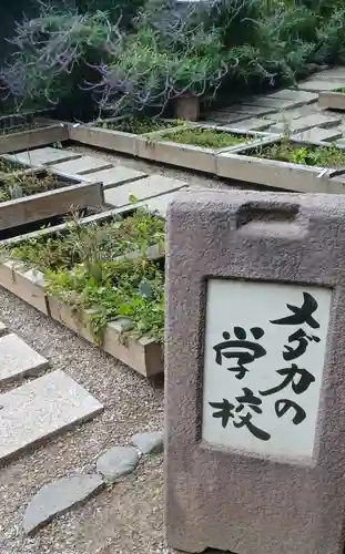 おふさ観音（観音寺）(奈良県)