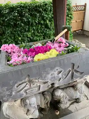 於菊稲荷神社の手水舎