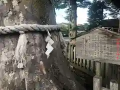 守谷総鎮守 八坂神社(茨城県)