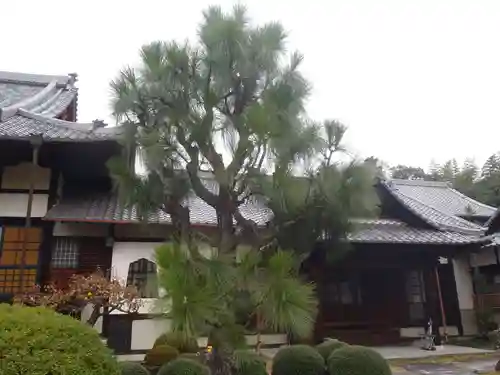 続芳院(岐阜県)