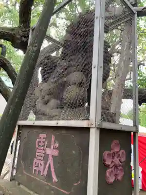 北野神社(東京都)