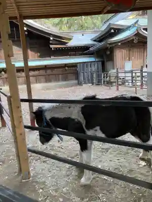 平塚八幡宮(神奈川県)