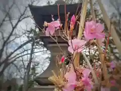 彌彦神社　(伊夜日子神社)(北海道)