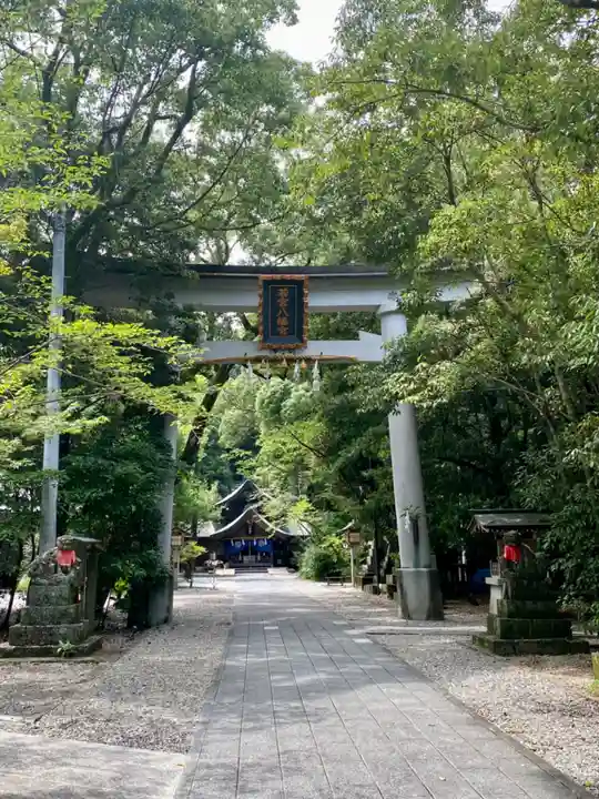 若宮八幡宮(高知県)