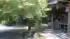 宗生寺の本殿・本堂
