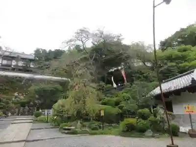 岡寺(龍蓋寺)(奈良県)