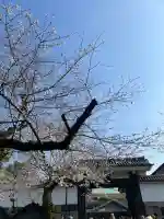 弥生慰霊堂の{uncategorized: "未分類", other: "その他", undefined: "問題あり", building: "その他建物", grave: "お墓", sacred_gate: "鳥居", guardian: "狛犬", statue: "像", buddha: "仏像", history: "歴史", nature: "自然", garden: "庭園", animal: "動物", pagoda: "塔", temizu: "手水舎", mountain_gate: "山門・神門", sanctuary: "本殿・本堂", subordinate: "末社・摂社", art: "芸術", scenery: "景色", jizo: "地蔵", ema: "絵馬", goshuin: "御朱印", omikuji: "おみくじ", items: "授与品その他", amulet: "お守り", goshuincho: "御朱印帳", eats: "食事", festival: "お祭り", votive_dance: "神楽", shichigosan: "七五三参", wedding: "結婚式", experience: "体験その他", initially: "初詣", around: "周辺", anti_infection: "感染症対策"}