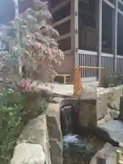 師岡熊野神社の自然