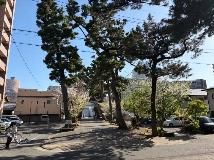 浜松八幡宮の{uncategorized: "未分類", other: "その他", undefined: "問題あり", building: "その他建物", grave: "お墓", sacred_gate: "鳥居", guardian: "狛犬", statue: "像", buddha: "仏像", history: "歴史", nature: "自然", garden: "庭園", animal: "動物", pagoda: "塔", temizu: "手水舎", mountain_gate: "山門・神門", sanctuary: "本殿・本堂", subordinate: "末社・摂社", art: "芸術", scenery: "景色", jizo: "地蔵", ema: "絵馬", goshuin: "御朱印", omikuji: "おみくじ", items: "授与品その他", amulet: "お守り", goshuincho: "御朱印帳", eats: "食事", festival: "お祭り", votive_dance: "神楽", shichigosan: "七五三参", wedding: "結婚式", experience: "体験その他", initially: "初詣", around: "周辺", anti_infection: "感染症対策"}