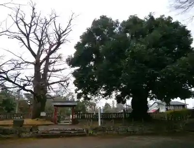 一之宮貫前神社(群馬県)