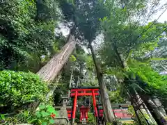 白山神社(奈良県)