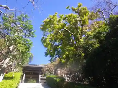 荏柄天神社のその他建物